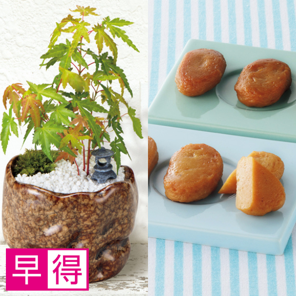 【早得】新月バラ園 親父の手（SUSTEE付）＋鹿児島小田口屋 さつま揚げ【父の日】 商品サムネイル